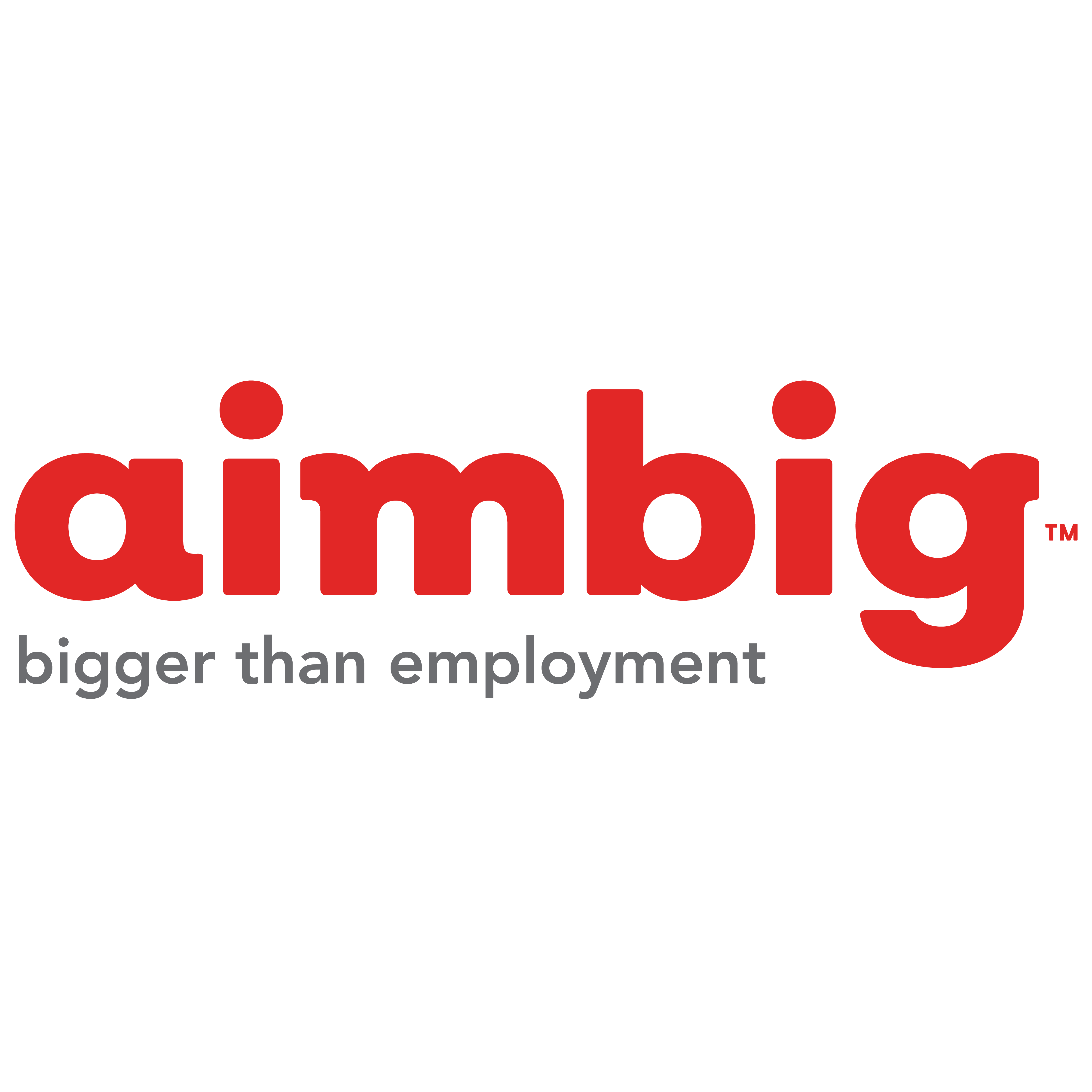 Image of AimBig Image of AimBig