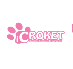 Image of icroket