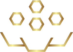 Image of Taiduo webdesign