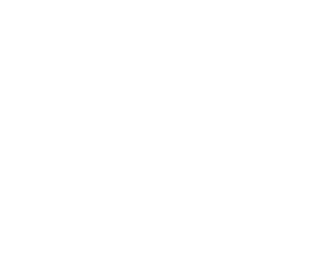 Image of Elite Physiques