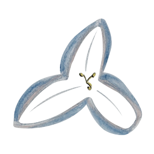 Image of Lily Healing Image of Lily Healing