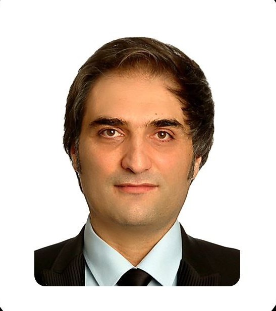 Photo of Hamed Tahmasebisarvestani