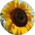 Photo of Joanne Milchak