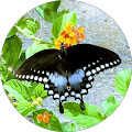 Photo of G S