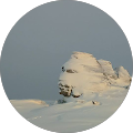 Photo of Dan Cîmpu