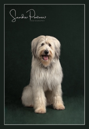 Photo of Wendy