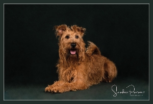 Photo of Tracey Onley