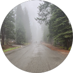 Photo of Cadence Dixon