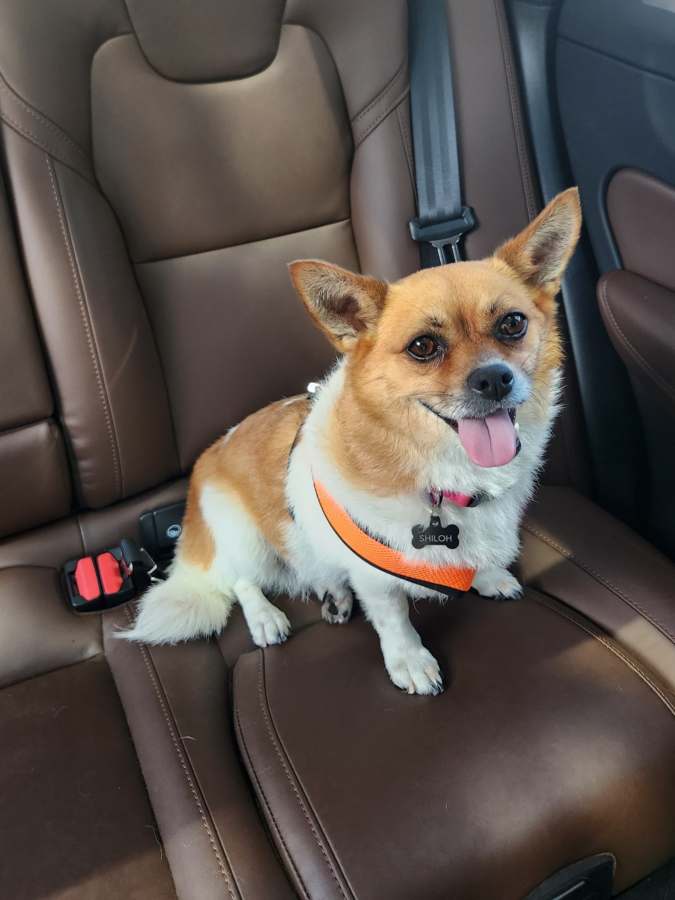 Photo of Amy Pakes Photo of Amy Pakes