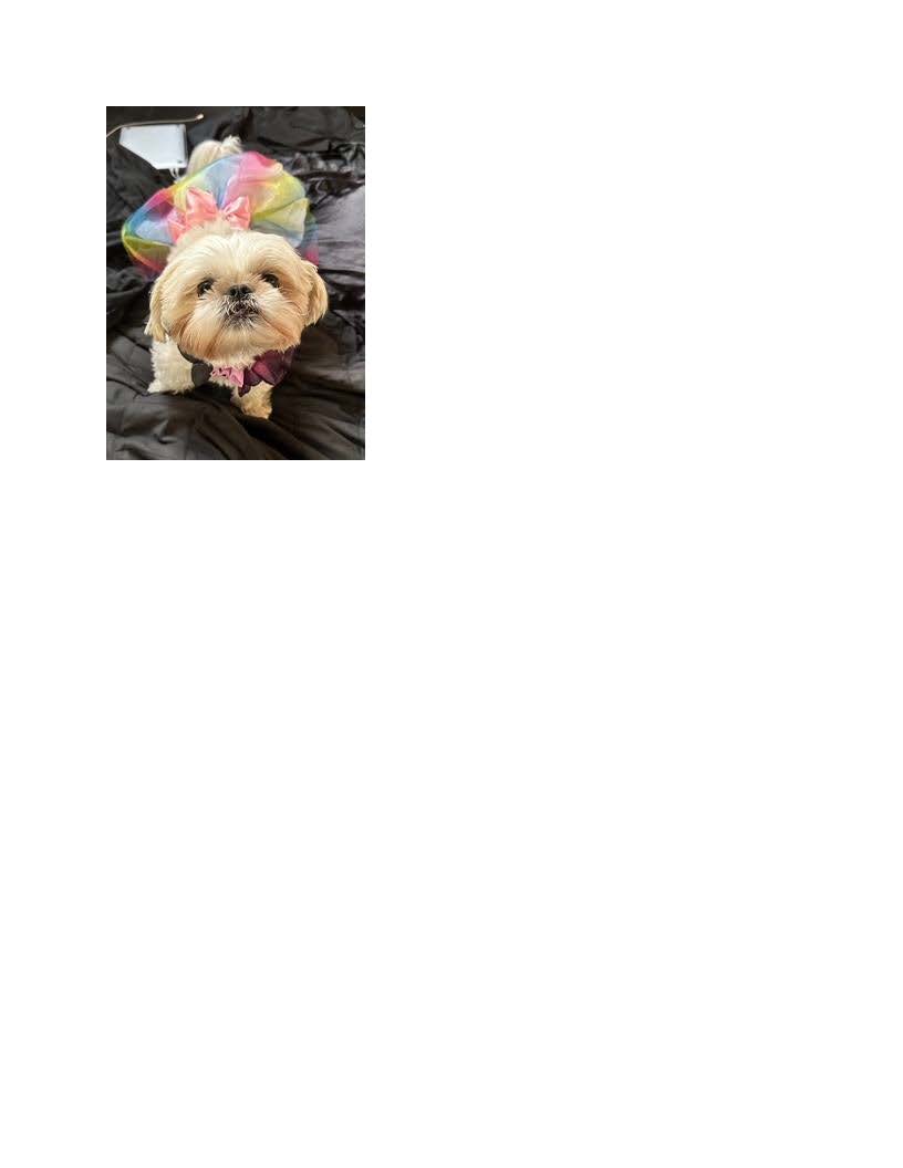 Photo of Karina Lozada Photo of Karina Lozada