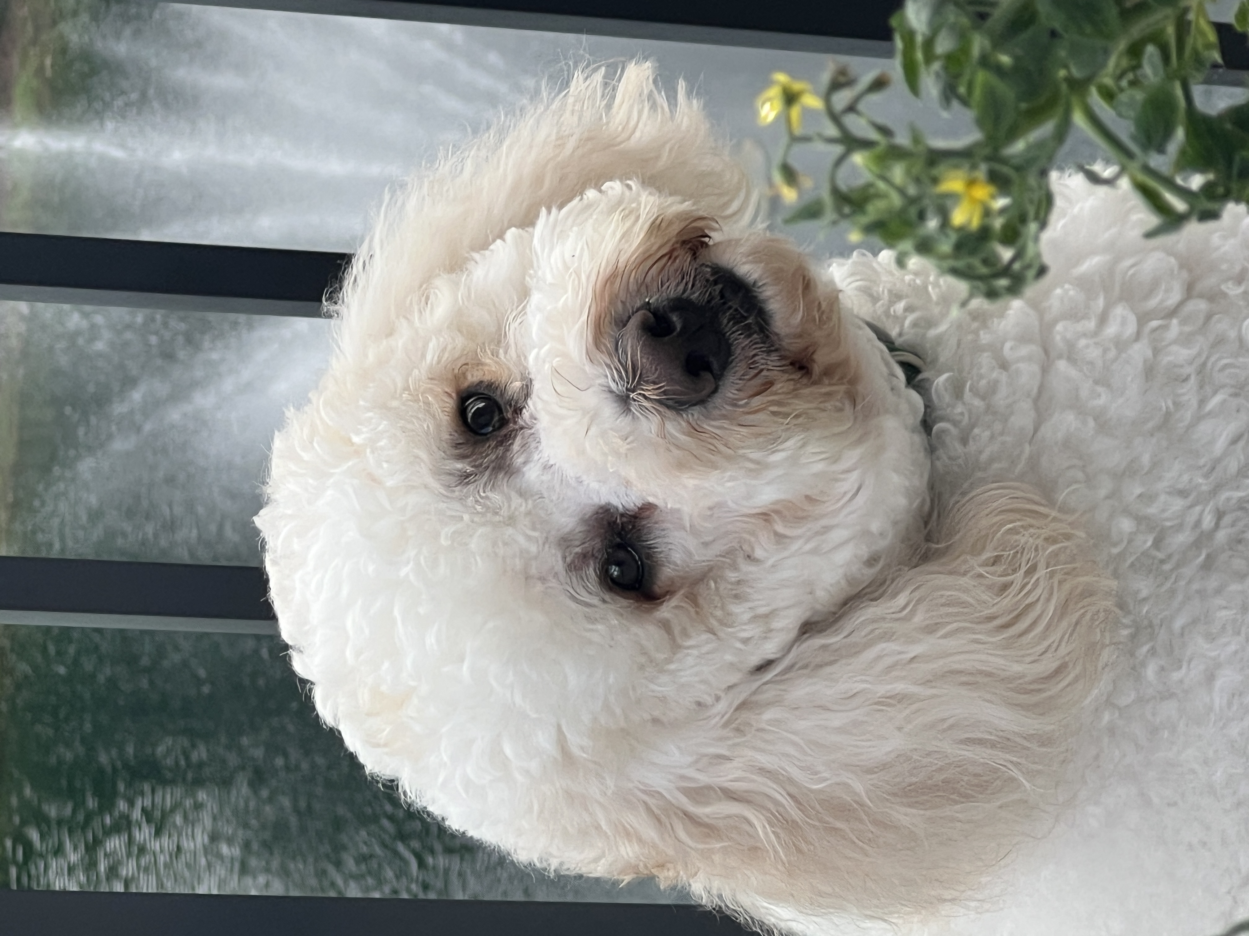 Photo of LEIGH Photo of LEIGH