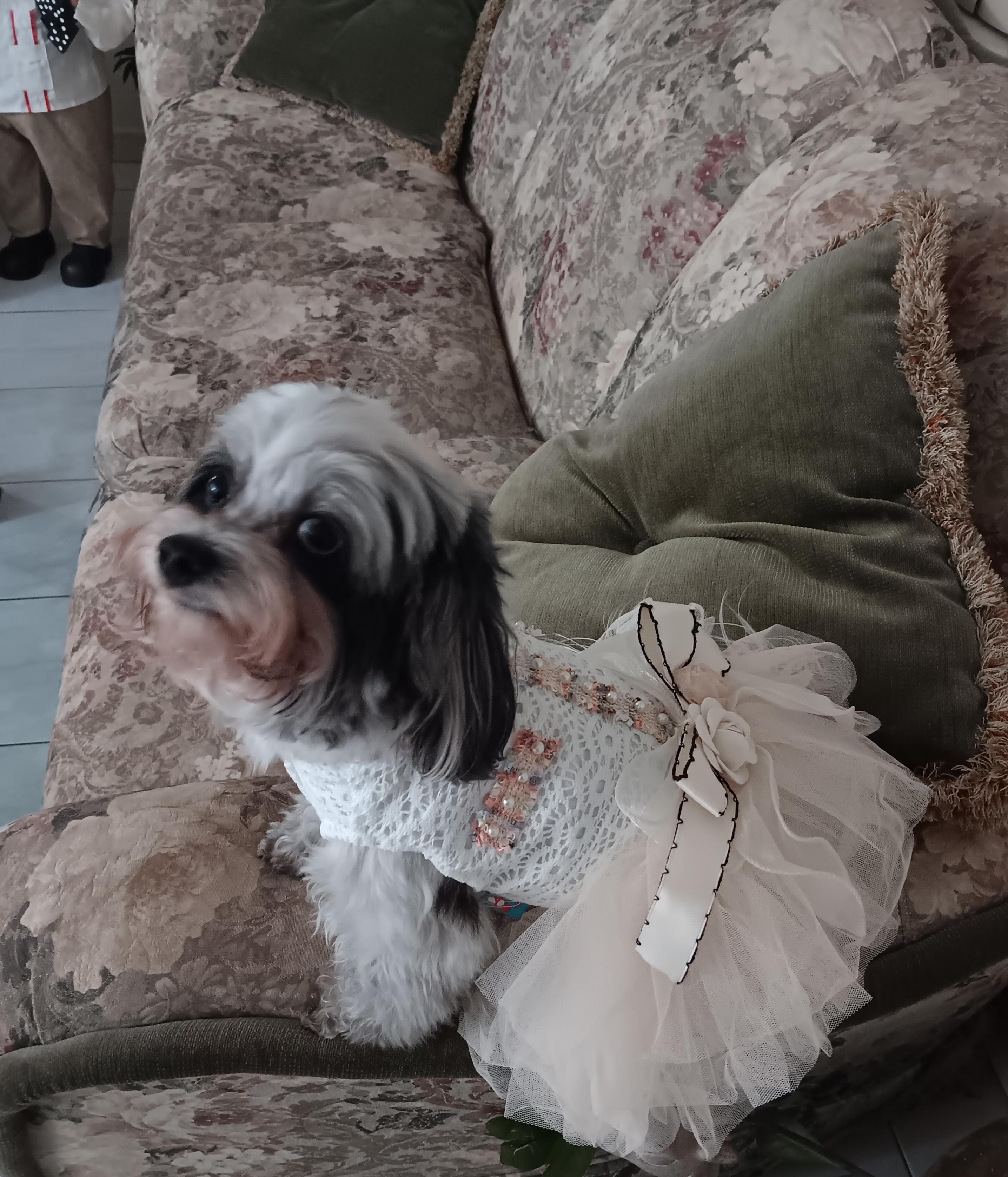 Photo of Celia Amores