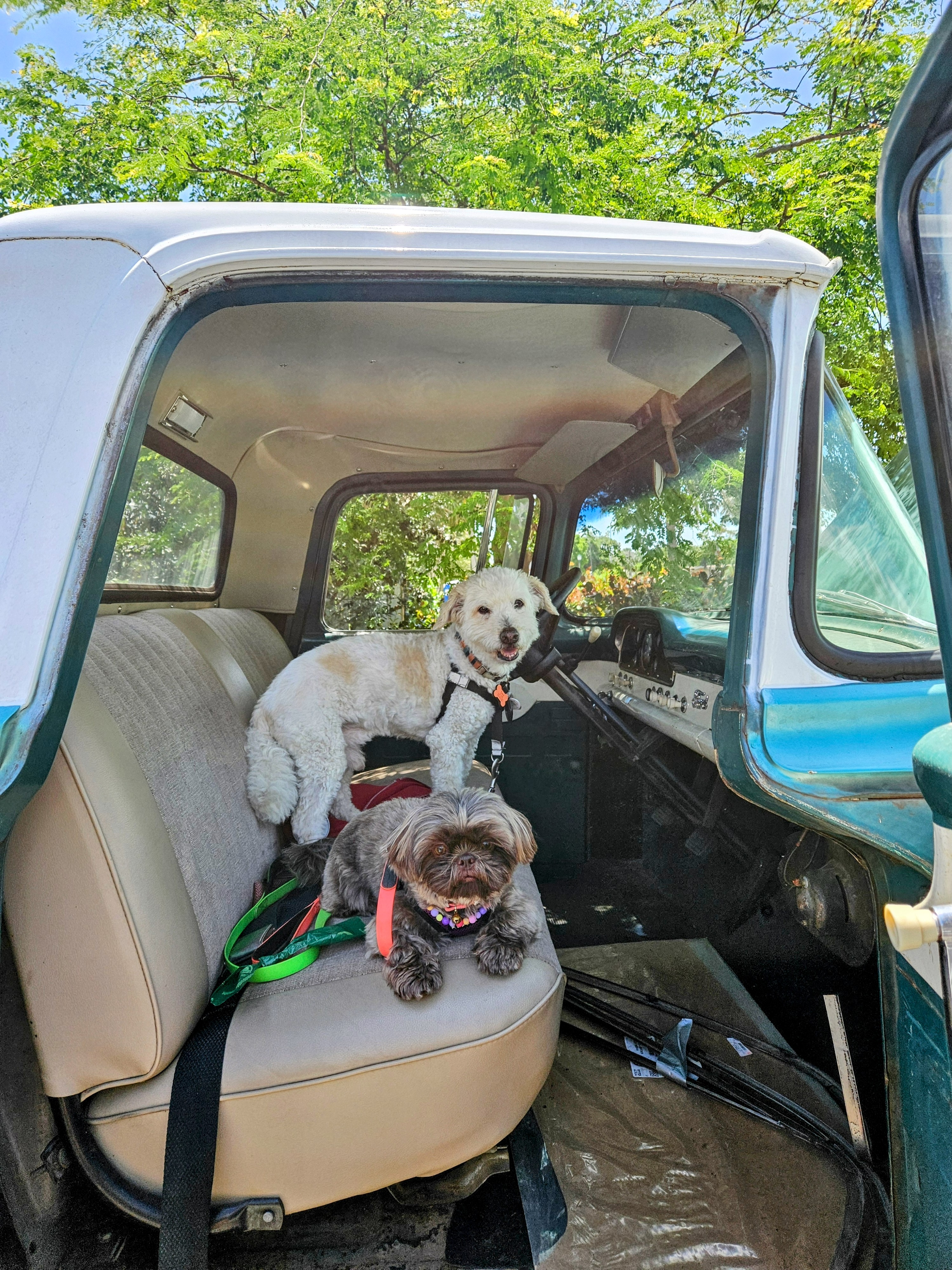 Photo of Jill Photo of Jill