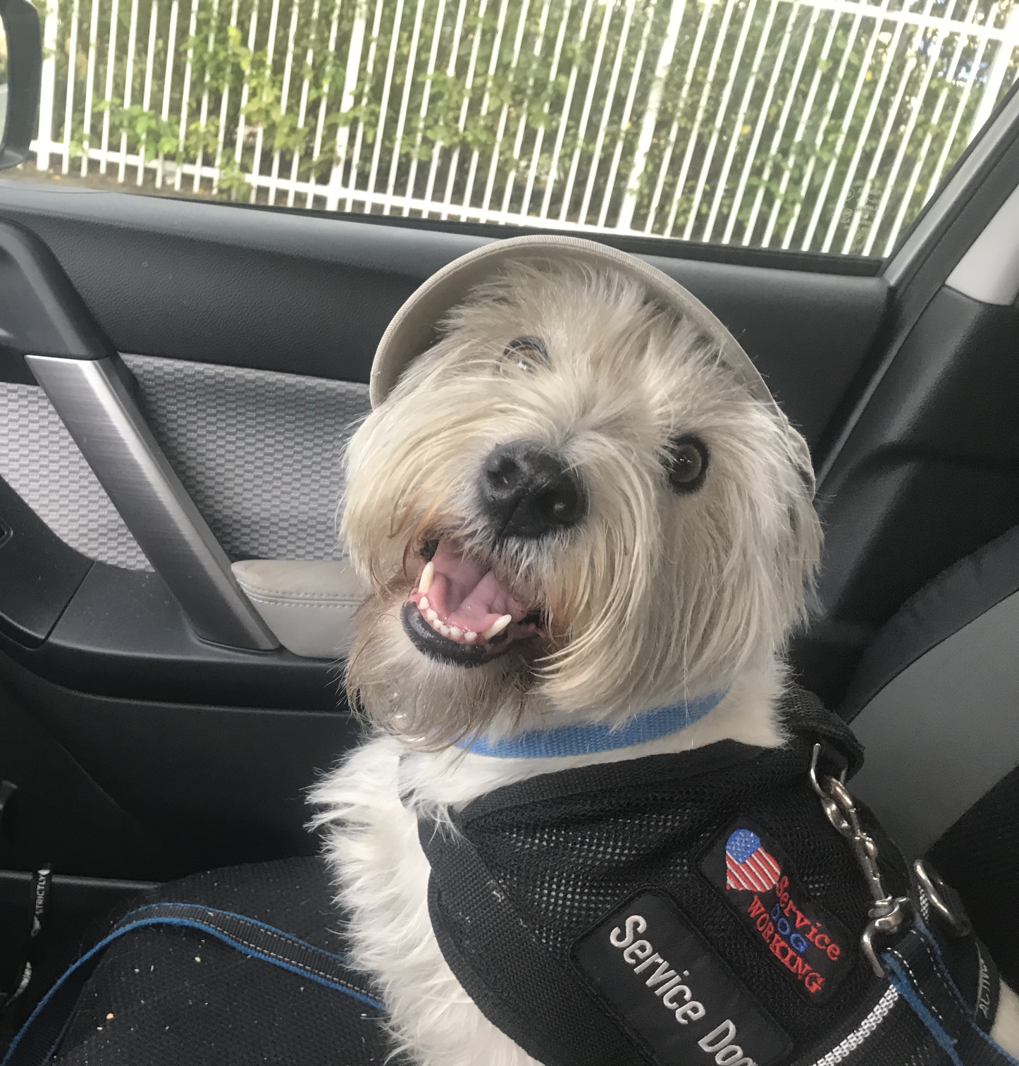 Photo of Ana Photo of Ana