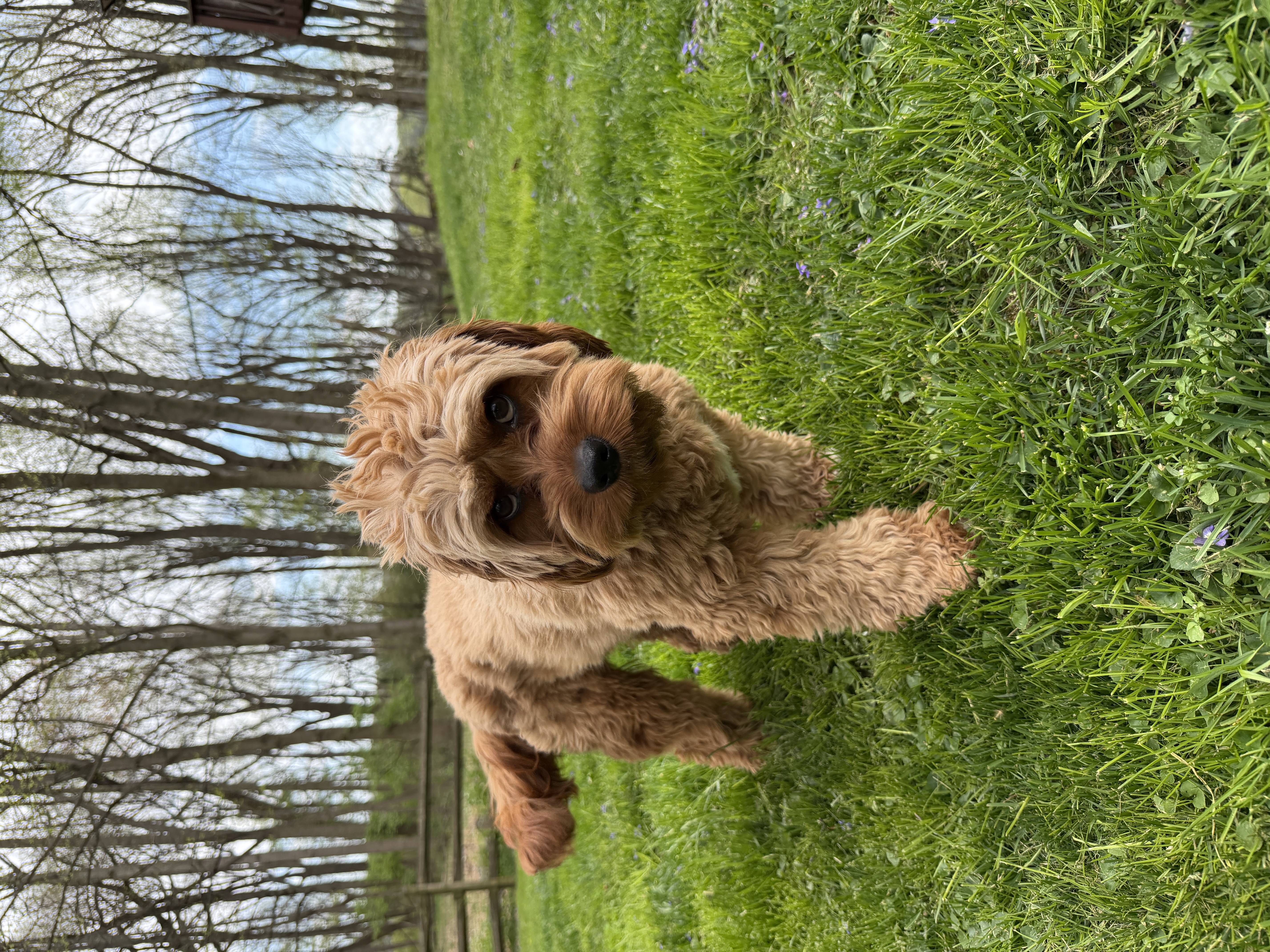 Photo of Nabyla