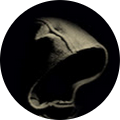 Photo of Jedi Senpei